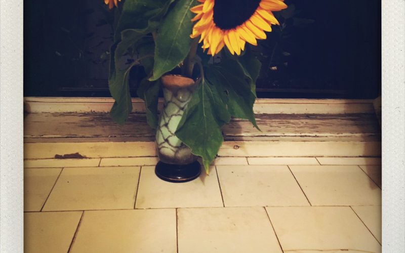 Sonnenblume als Symbol für die Ukraine. Blumenstraus für Demokratien für #diepodcastin